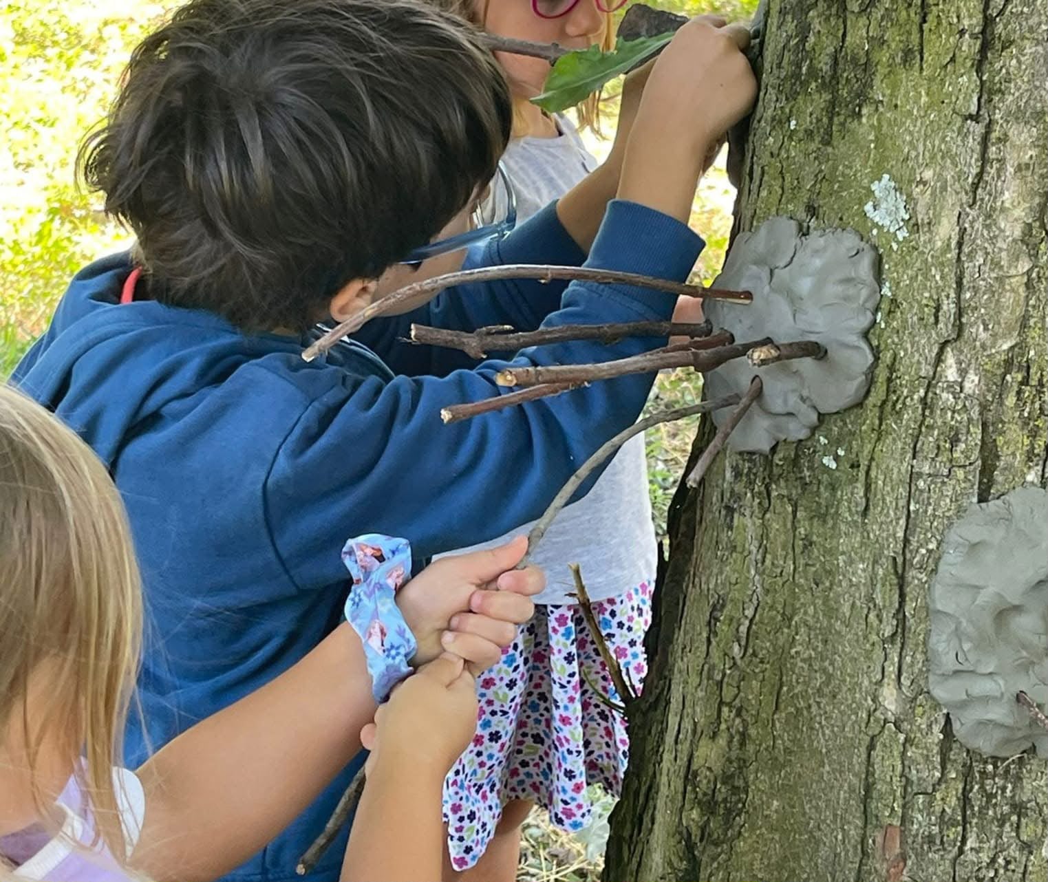 Clay on the Tree