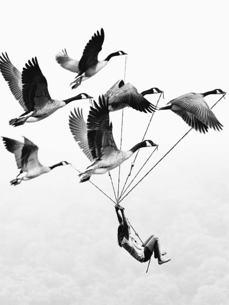 El vuelo