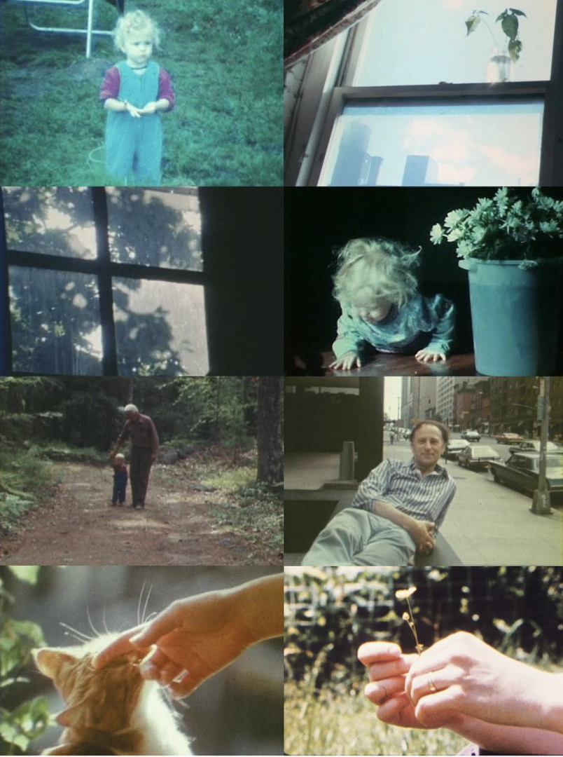 Nothing happens in this film apuntes sobre Jonas Mekas y la belleza cotidiana